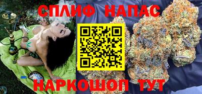 стаф Обнинск