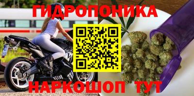 стаф Обнинск