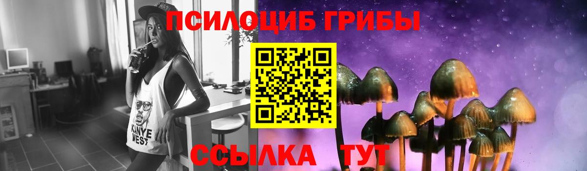 Новороссийск  Псилоцибиновые грибы мицелий  Вход с VPN 